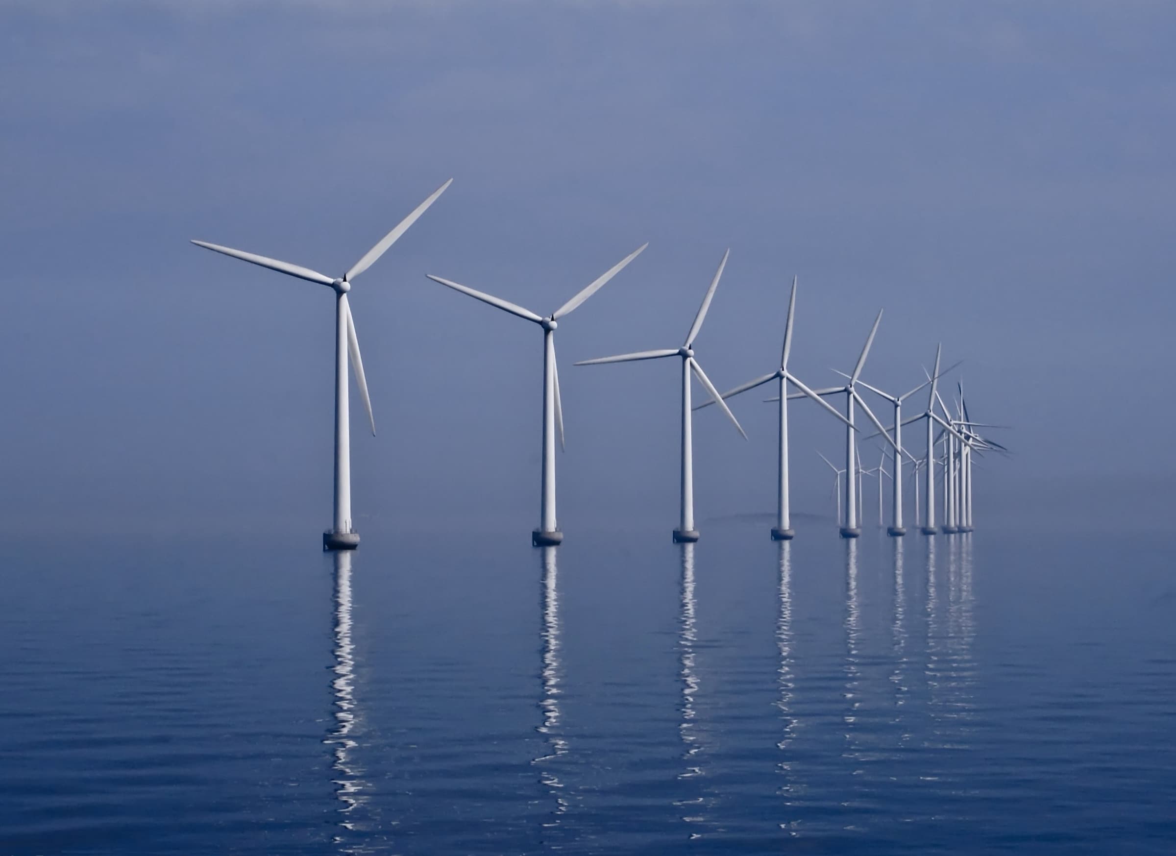 A line of offshore wind turbines standing in calm water